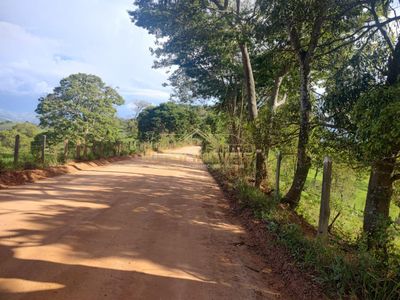 Terreno, 3 hectares - Foto 5