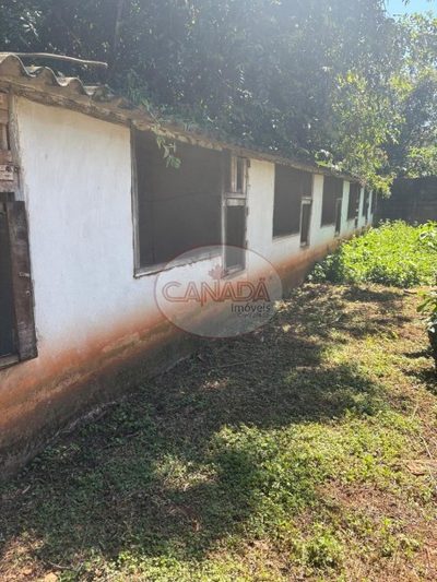 Sítio, 4 quartos, 5000 m² - Foto 4