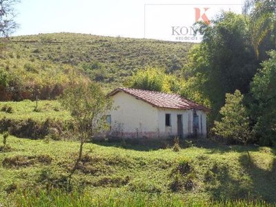 Fazenda, 305 hectares - Foto 1