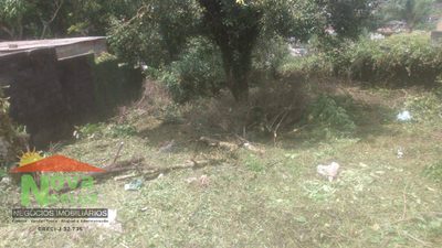 Terreno, 300 m² - Foto 4