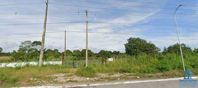 Terreno, 10000 m² - Foto 5