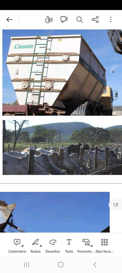 Sítio, 5 quartos, 10000 hectares - Foto 4