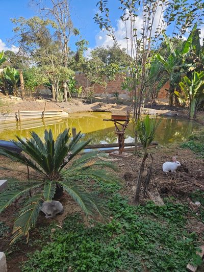 Terreno, 1270 m² - Foto 2