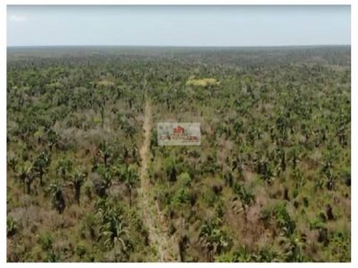 Fazenda, 1100 m² - Foto 2