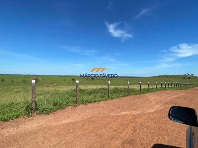 Fazenda, 590 hectares - Foto 2