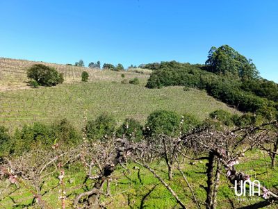 Chácara, 2 hectares - Foto 2