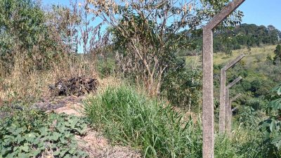 Terreno, 400 m² - Foto 3