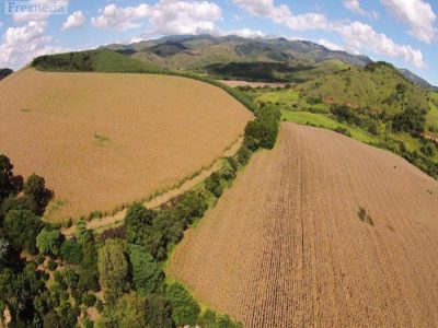 Fazenda, 638 hectares - Foto 2
