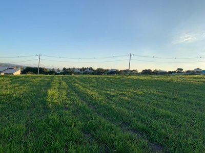 Terreno, 1000 m² - Foto 2