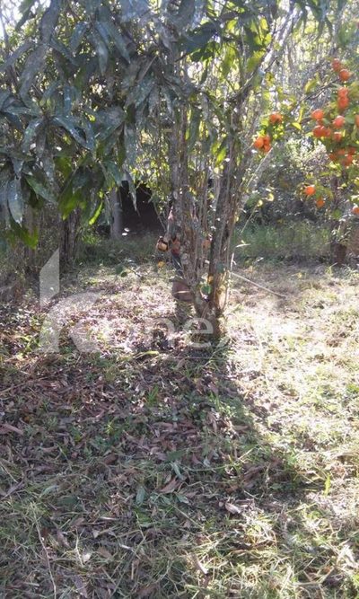 Chácara, 3 quartos, 200 m² - Foto 2