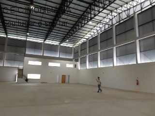 Depósito-Galpão, 10000 m² - Foto 2