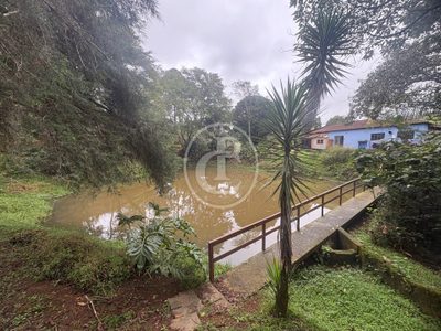 Sítio, 10 quartos, 100 m² - Foto 3