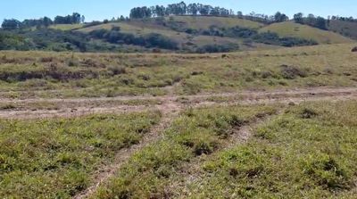 Fazenda, 200 hectares - Foto 3