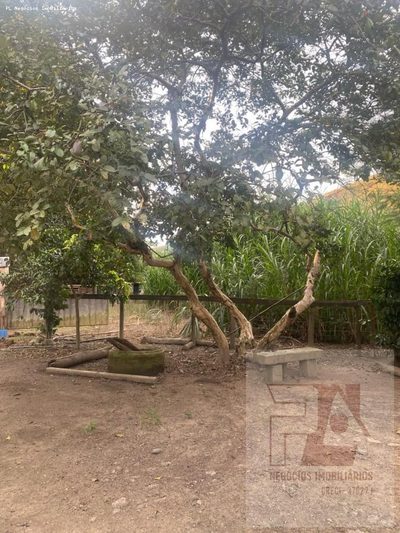 Fazenda, 5 m² - Foto 5