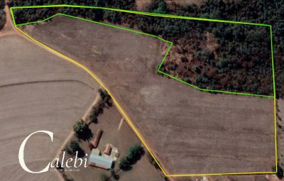 Terreno, 7 m² - Foto 5