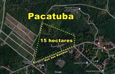 Terreno, 5000 m² - Foto 1