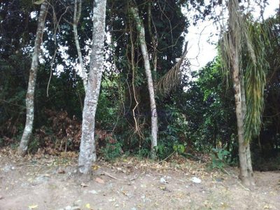 Loteamento e Condomínio, 1166 m² - Foto 5
