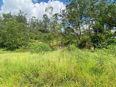 Terreno, 5 hectares - Foto 3