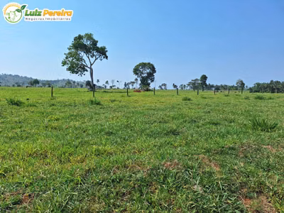 Terreno, 4780 m² - Foto 3