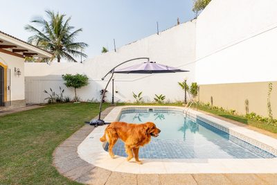 Casa, 4 quartos, 450 m² - Foto 3
