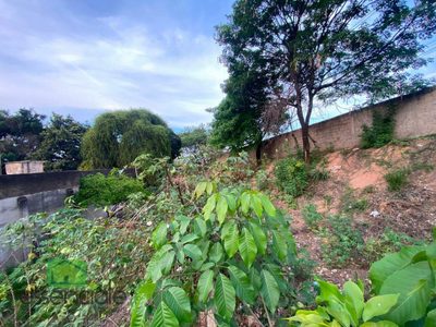 Terreno, 1000 m² - Foto 5