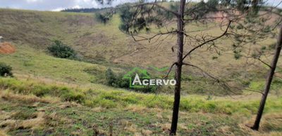 Loteamento e Condomínio, 2 hectares - Foto 4