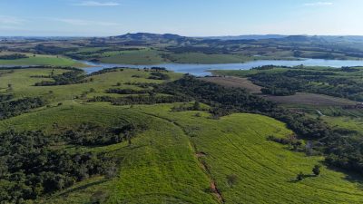 Fazenda, 175 hectares - Foto 3