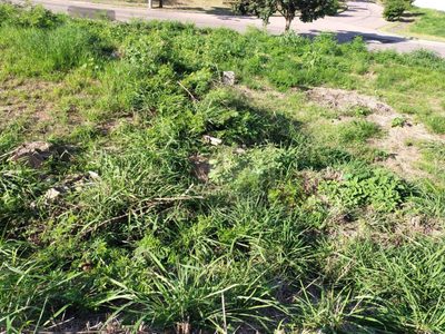 Terreno, 200 m² - Foto 1