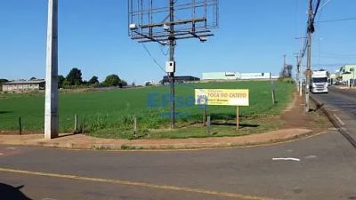 Terreno, 4 hectares - Foto 1
