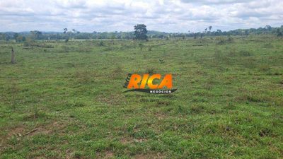 Fazenda, 984 hectares - Foto 3
