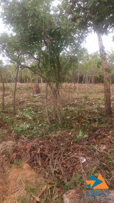 Terreno, 1000 m² - Foto 5