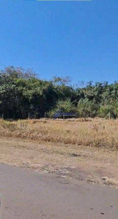 Fazenda, 1186 hectares - Foto 5