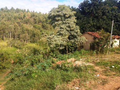 Terreno, 360 m² - Foto 5