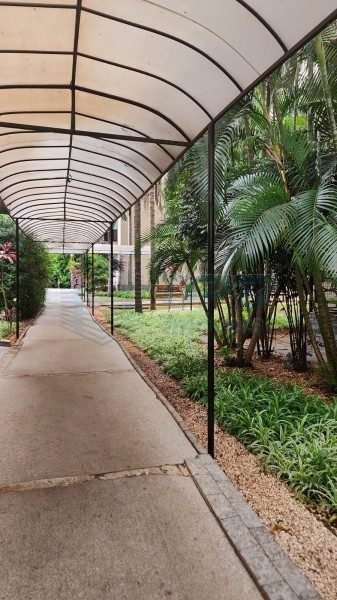 Apartamento - Foto 1