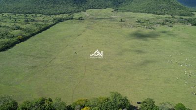 Chácara, 50 hectares - Foto 2