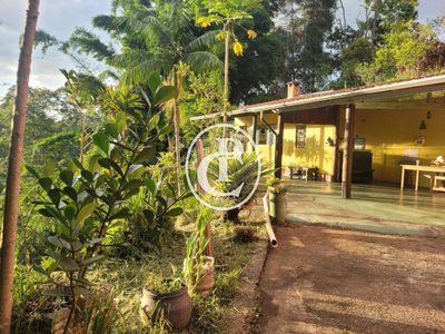 Chácara, 3 quartos, 5000 m² - Foto 4