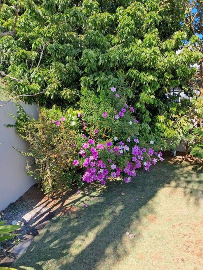 Sobrado, 290 m² - Foto 4