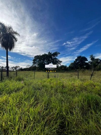 Terreno, 2 hectares - Foto 3