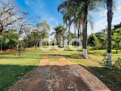 Casa, 5 quartos, 158 m² - Foto 4