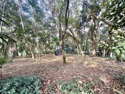 Loteamento e Condomínio, 1472 m² - Foto 5