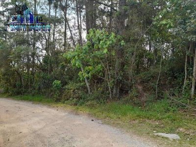 Terreno, 1550 m² - Foto 5