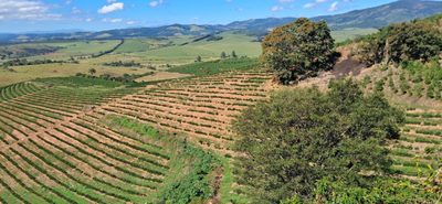 Chácara, 1 quarto, 63 hectares - Foto 3