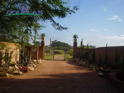 Sítio, 3 quartos, 3 hectares - Foto 1