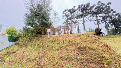 Loteamento e Condomínio, 600 m² - Foto 4