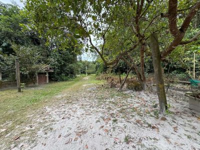 Fazenda, 1120 m² - Foto 4