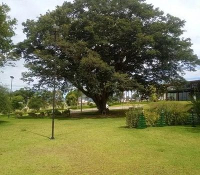 Terreno, 660 m² - Foto 5
