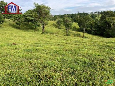 Fazenda - Foto 1