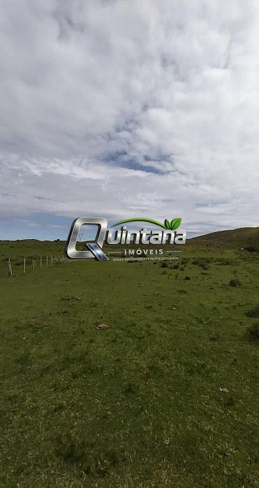 Fazenda, 115 hectares - Foto 2