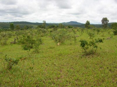Chácara, 3 quartos, 2 hectares - Foto 1