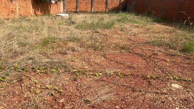 Terreno, 360 m² - Foto 5